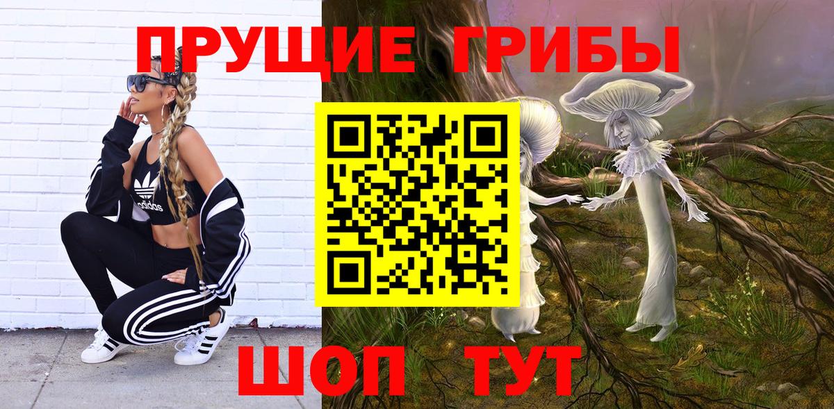 Галлюциногенные грибы Cubensis  Вход с VPN  Ишимбай 